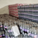 campa cola franchise