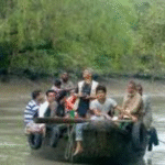 sundarban tour