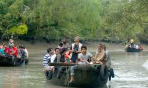 sundarban tour